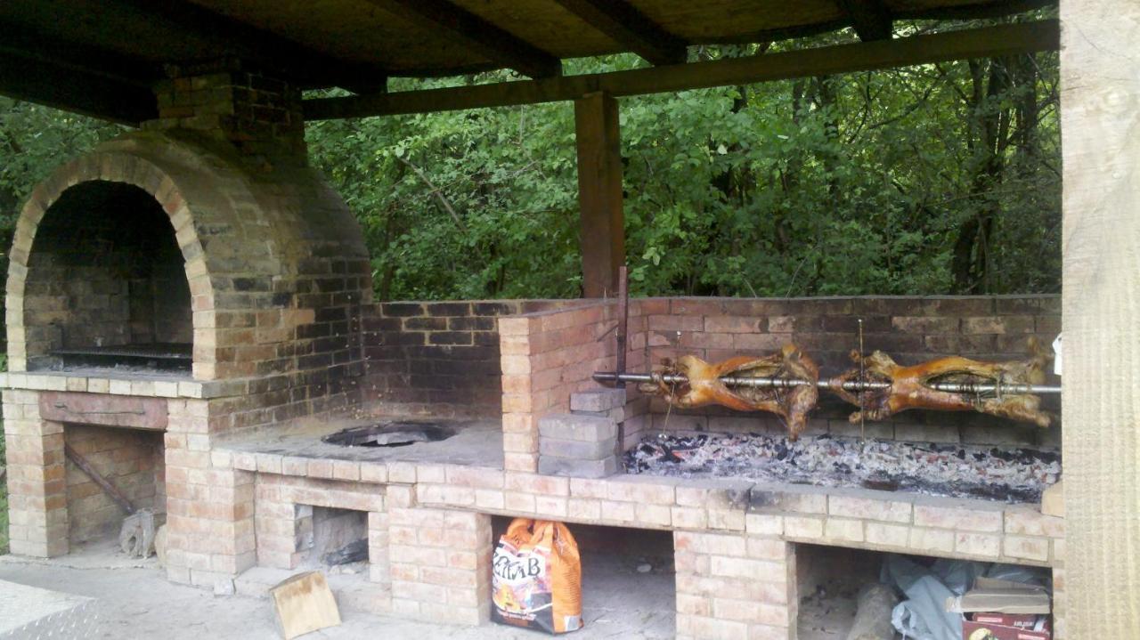 Pensiunea Larysse Băile Felix Zewnętrze zdjęcie