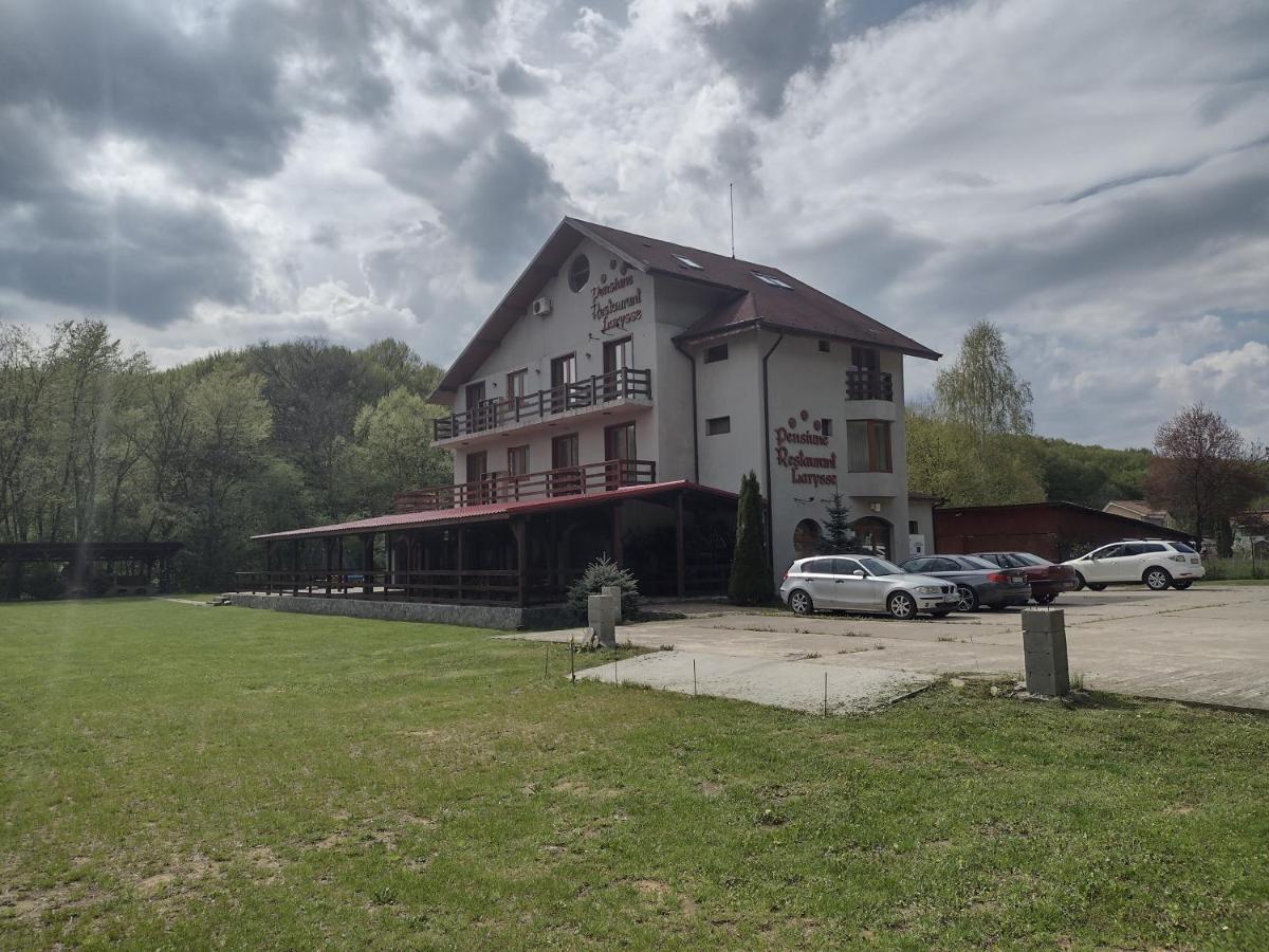 Pensiunea Larysse Băile Felix Zewnętrze zdjęcie